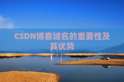 CSDN博客域名的重要性及其优势